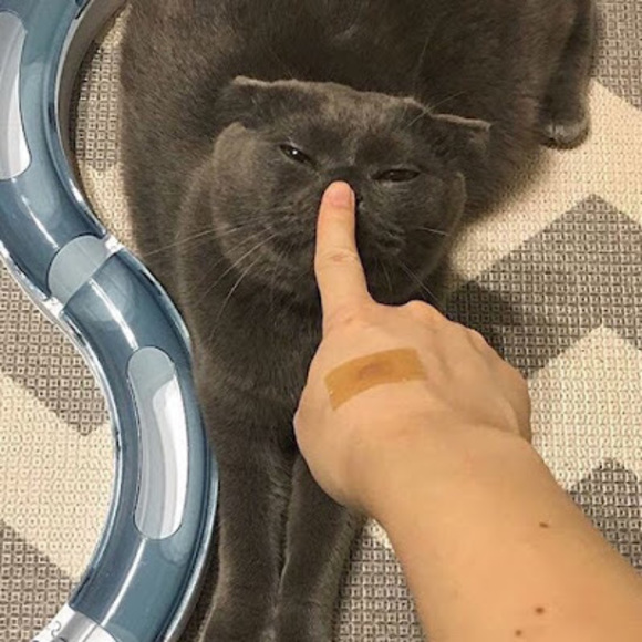 francheskajuban